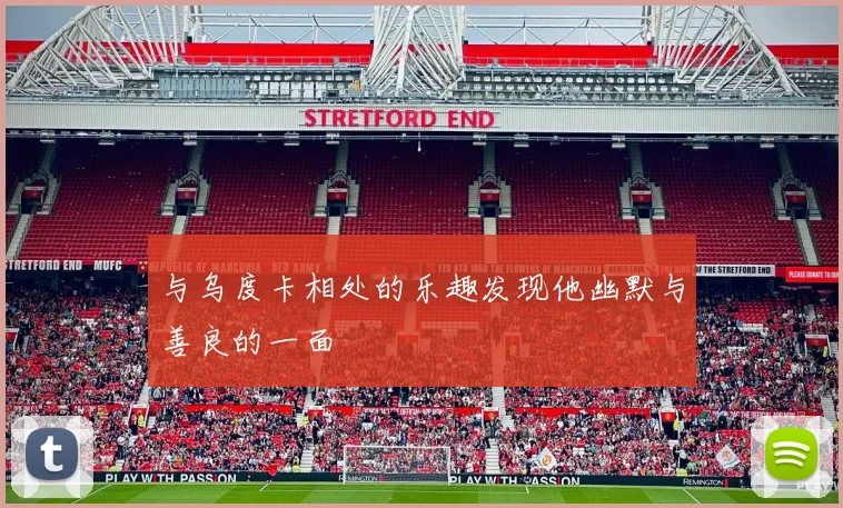 与乌度卡相处的乐趣发现他幽默与善良的一面